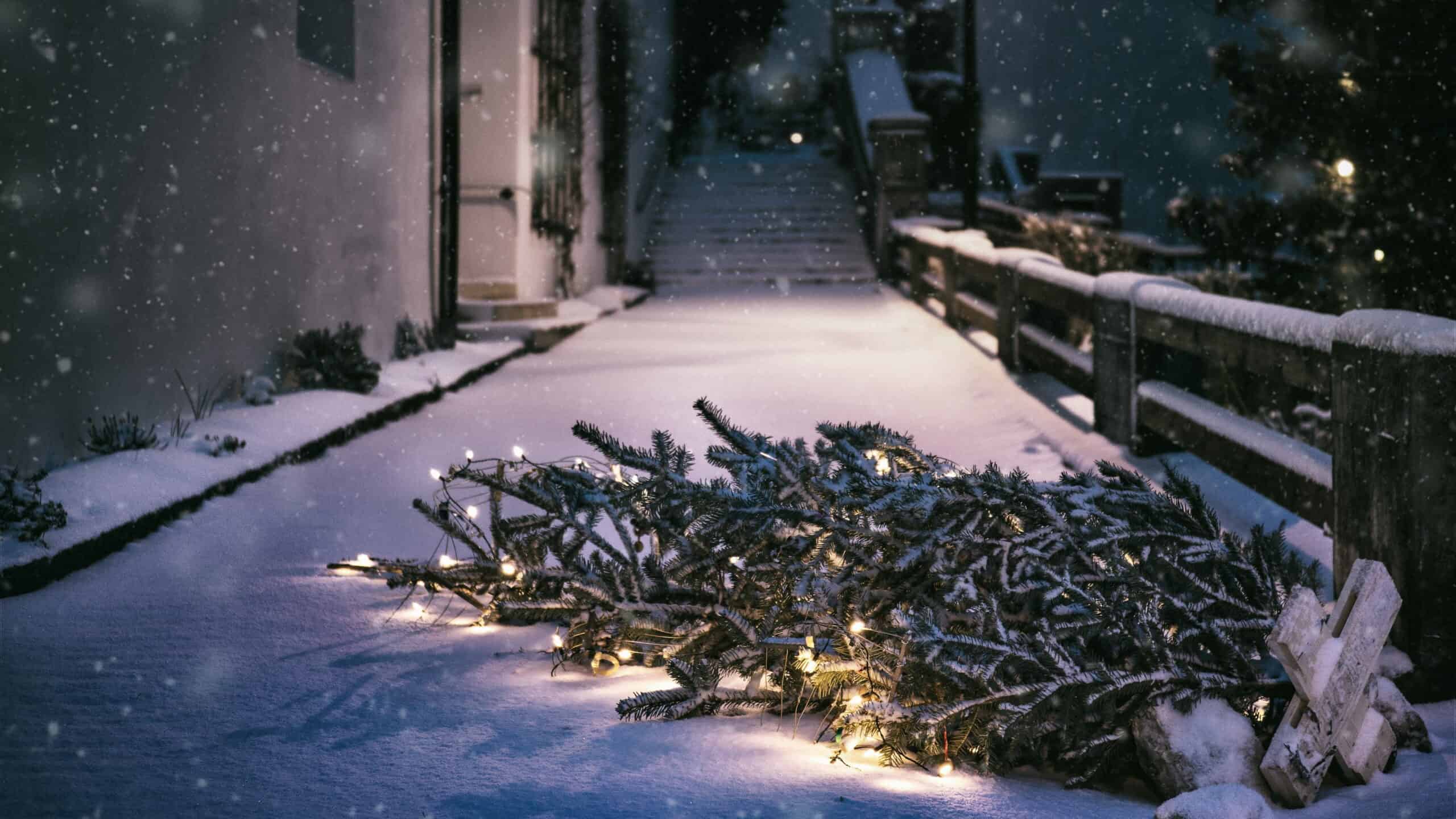 A lit Christmas tree lies on a quiet snowy street in Austria